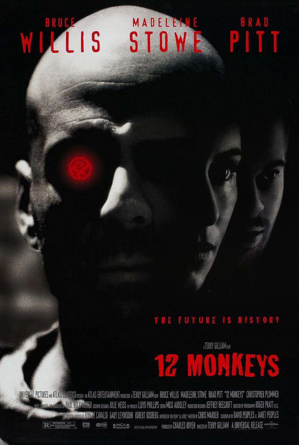 12 میمون